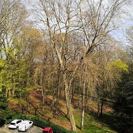 Chambre D'Hote Au Parc Des Thibaudieres Boussy-Saint-Antoine Экстерьер фото