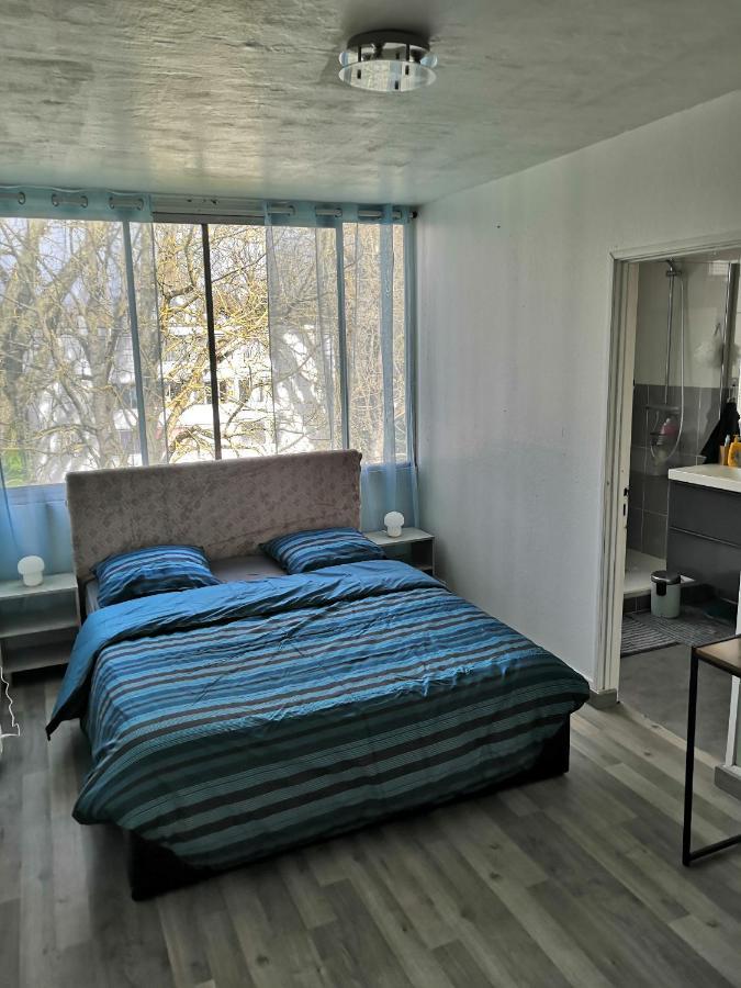 Chambre D'Hote Au Parc Des Thibaudieres Boussy-Saint-Antoine Экстерьер фото