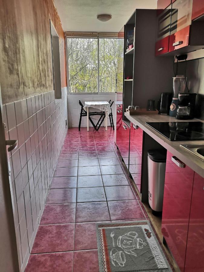Chambre D'Hote Au Parc Des Thibaudieres Boussy-Saint-Antoine Экстерьер фото